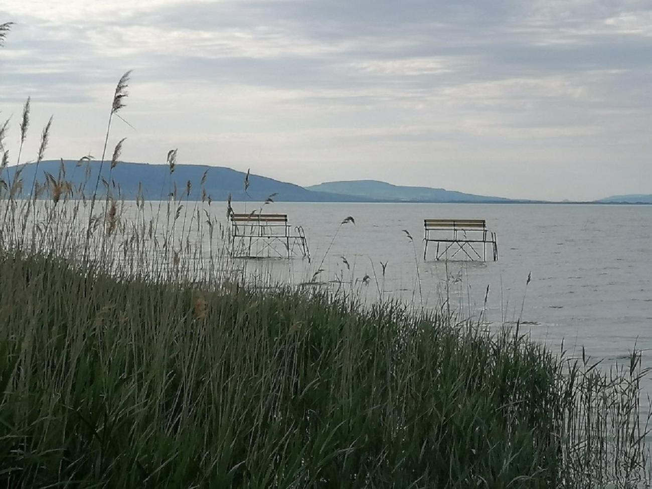 7 Ferohelyes Haz Balatonfenyvesen A Totol 15 M-re Sajat Steggel Es Csonakkal *